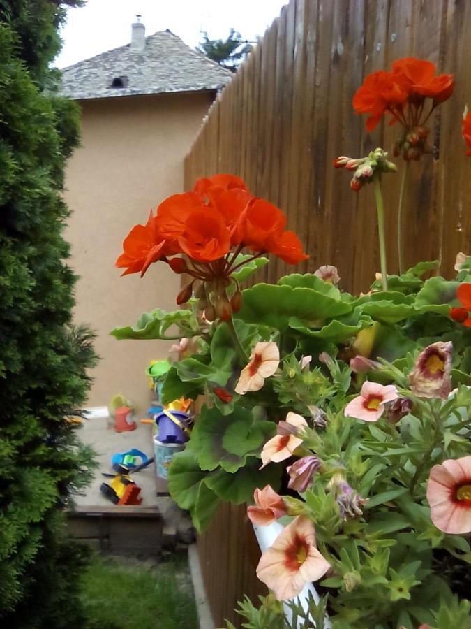 Csilla Apartman Makó Exteriör bild